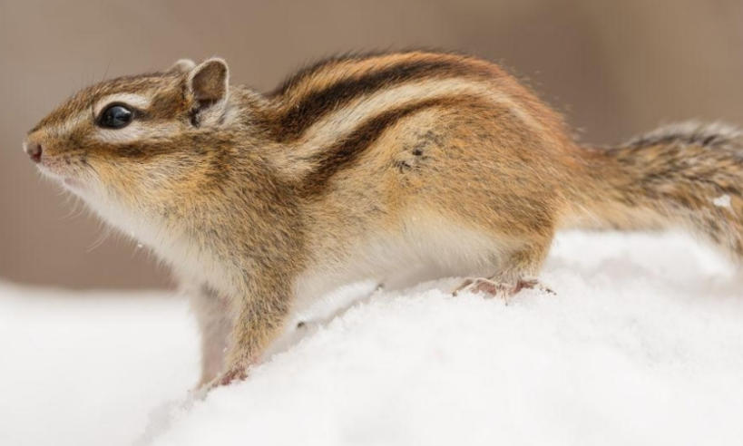 北京中科万通科技发展有限公司轮播图2