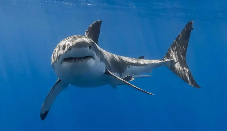 北京中科万通科技发展有限公司轮播图3