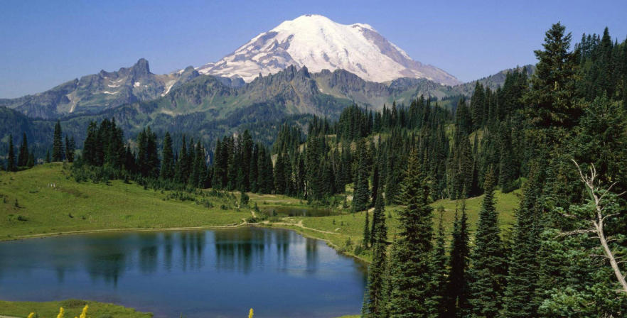 北京中科万通科技发展有限公司轮播图2